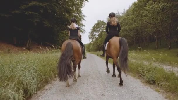 Paardrijden Paarden op een smalle weg in het midden van het bos — Stockvideo