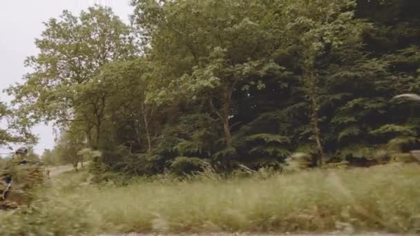 Dois equestres montando cavalos pela floresta e horizonte céu, Panning Shot — Vídeo de Stock