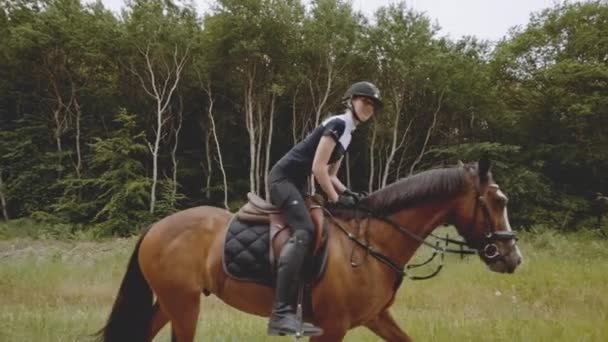 Reiten in einem braunen Pferd durch den Wald und hellen Himmel Horizont — Stockvideo