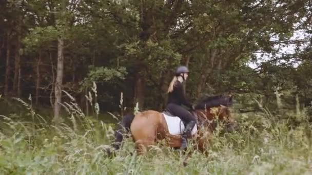 Hermosas hembras equestrinas montadas en caballos marrones por el rico bosque — Vídeo de stock