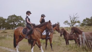 At Sürüsü Manzaralı Atlara Atlı İki Binici