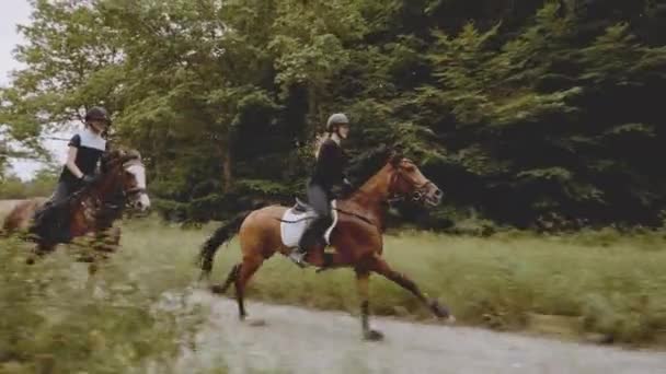 Twee blonde vrouwelijke ruiters gemonteerd in behendige paarden door het rijke bos — Stockvideo