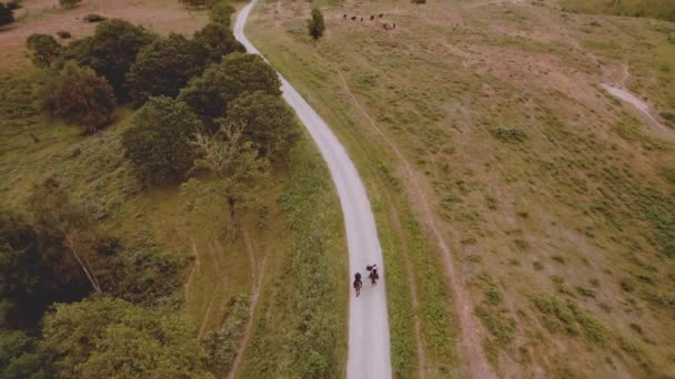 Estrada estreita no meio de campos verdes com equestres viajando com cavalos — Vídeo de Stock