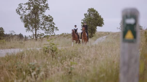 Weites Feld, zwei Reiterinnen zu Pferd und klarer Himmel im Hintergrund — Stockvideo