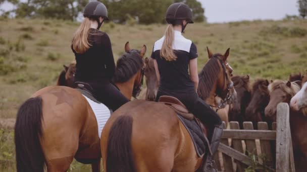 Dois equestres montados em cavalos com a vista de uma manada de cavalos — Vídeo de Stock