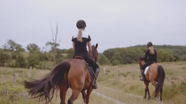 Ecuestre montado en un caballo con la vista de un campo exuberante — Vídeo de stock