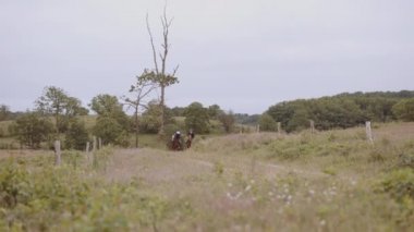 Uçsuz bucaksız bir arazide Kahverengi atlara binen iki dişi binici.