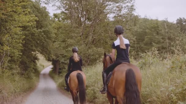 Duas fêmeas equestres montadas em cavalos marrons em uma estrada apertada — Vídeo de Stock