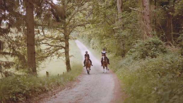 Dwóch jeźdźców na koniach, rasy na wąskiej drodze w środku lasu — Wideo stockowe