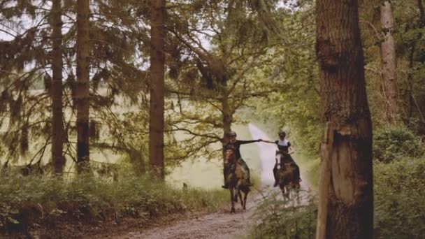 Duas fêmeas equestres segurando as mãos no alto, enquanto montado em cavalos marrons — Vídeo de Stock