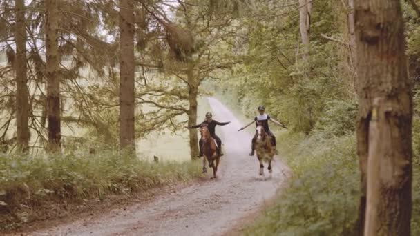 Equestrians hembra equilibrándose mientras montado en caballos marrones en un camino apretado — Vídeo de stock