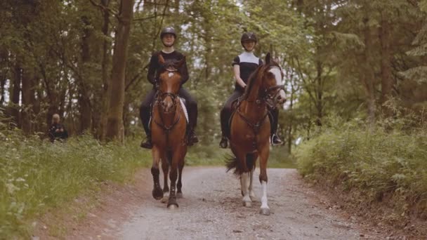 Dois equestres montados em cavalos, viajando lentamente no meio da floresta — Vídeo de Stock