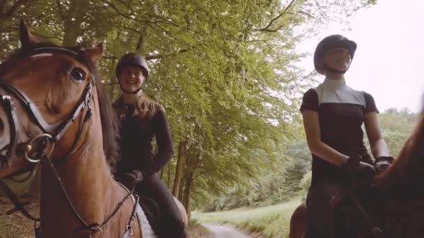 Équestres femelles montées sur des chevaux bruns au milieu d'une forêt luxuriante — Video