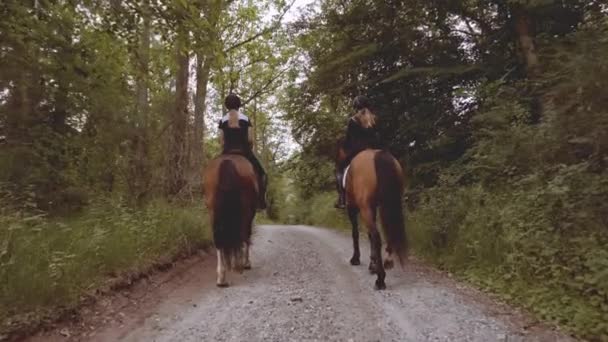 Pomalý pohyb dvou jezdců na koních uprostřed lesa — Stock video