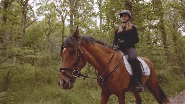 Hembra ecuestre montando un caballo marrón en medio de un exuberante bosque — Vídeo de stock