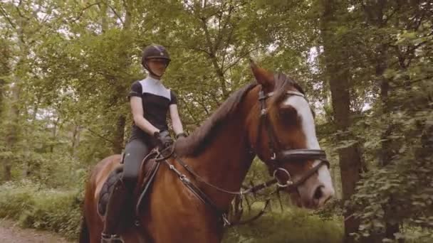 Női lovas szerelés egy barna ló közepén egy gazdag erdő — Stock videók