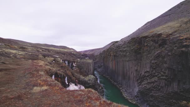 玄武岩柱、冰川河与蓝天地平线、研究峡谷 — 图库视频影像