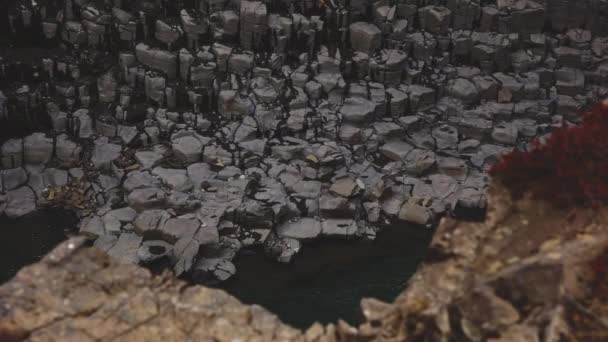 Colpo mozzafiato della formazione rocciosa di Basalto e vista sul fiume Blue Glacier — Video Stock