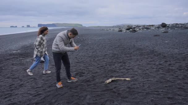 Tapete Ansicht von Reisenden, die ein Foto von Fischskelett am Schwarzen Strand — Stockvideo