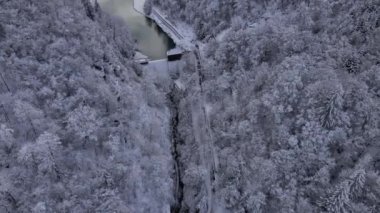 Klammsee, Avusturya 'daki Dağ Yollarındaki firavun Ağaçları ve Kış' ta Göl