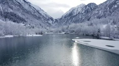Klammsee Su Rezervuarı ve Karlı Orman Dağının Drone Çekimi