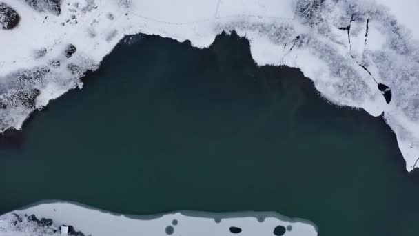 Árboles de abeto congelados en el bosque y el lago en Klammsee, Austria — Vídeo de stock