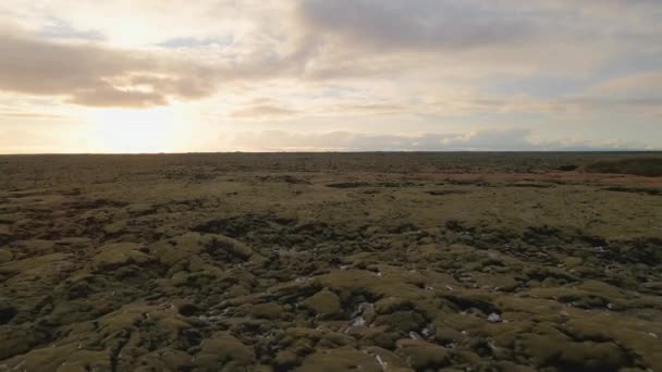 Belle vue de drone de vastes terres moussues et ciel céleste en arrière-plan — Video