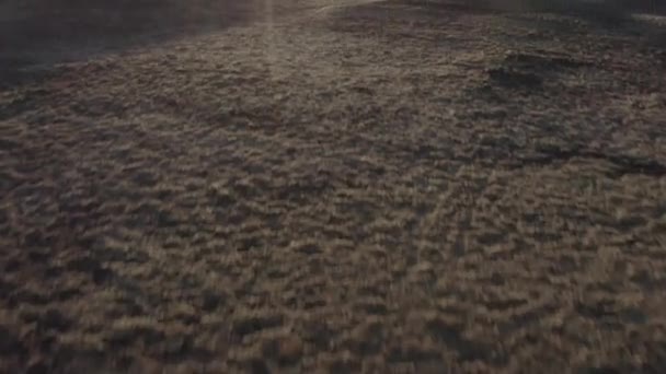 Fotografía aérea panorámica de amplios campos musgosos en Islandia y Sol contra el cielo — Vídeos de Stock