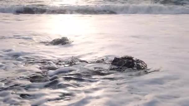 Серфинг, покрывающий лед на Даймонд-Бич Исландии — стоковое видео