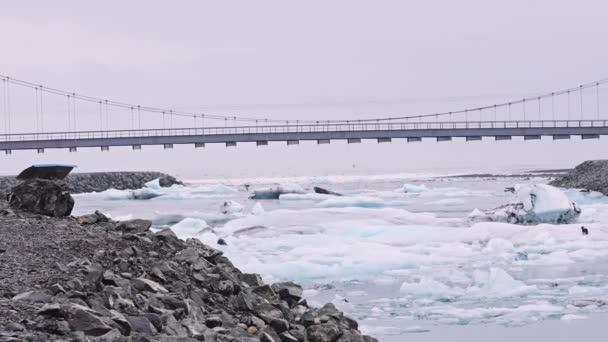 Asma köprü ve Elmas Sahili Denizi, İzlanda — Stok video