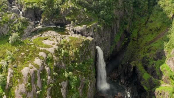 Drone van waterval Cascades over Cliff in Lush Valley — Stockvideo