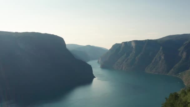 Drone Πάνω από Sunlit Δάσος Με θέα Κοιλάδα του ποταμού — Αρχείο Βίντεο