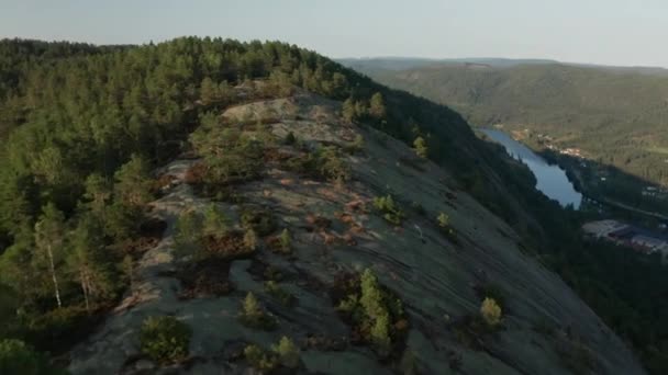 森のある山の斜面の上のドローン — ストック動画