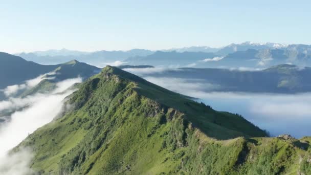 Floresta exuberante grama ao longo do pico das montanhas Schwalbenwand — Vídeo de Stock