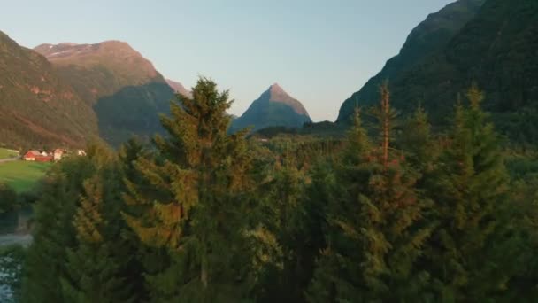 Drone Over Sunlit Forest Towards Mountains — Vídeo de stock