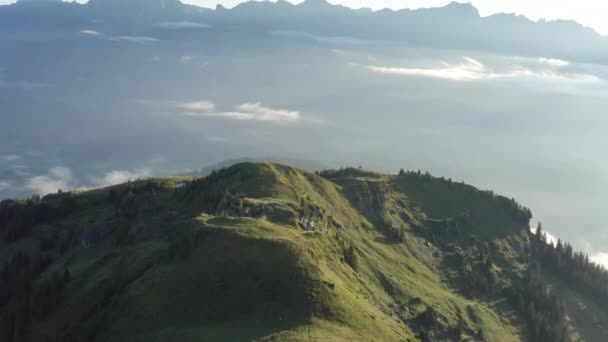 Veduta aerea dei campi verdi lussureggianti che si dirigono verso la cima dello Schwalbenwand — Video Stock