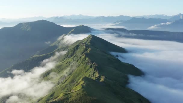 Нескінченний гірський силует Горизонт і густий туман навколо району, повітря — стокове відео