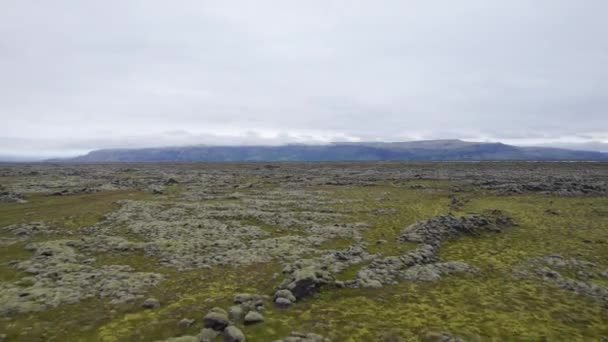 Drönarflygning över mossigt landskap mot berget — Stockvideo