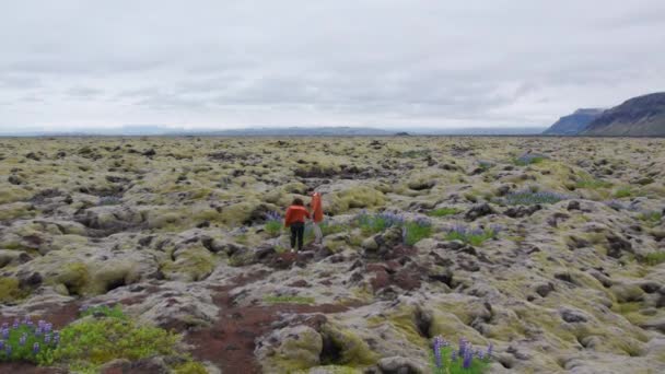 Drone of hiking para w krajobrazie mech i lupy — Wideo stockowe