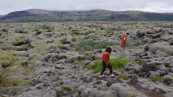 Drone over senderismo pareja en paisaje musgoso — Vídeo de stock