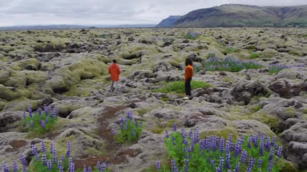 Drone di escursionismo coppia in muschio coperto paesaggio — Video Stock