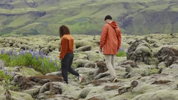 Coppia escursionismo sopra rocce in muschio coperto paesaggio — Video Stock