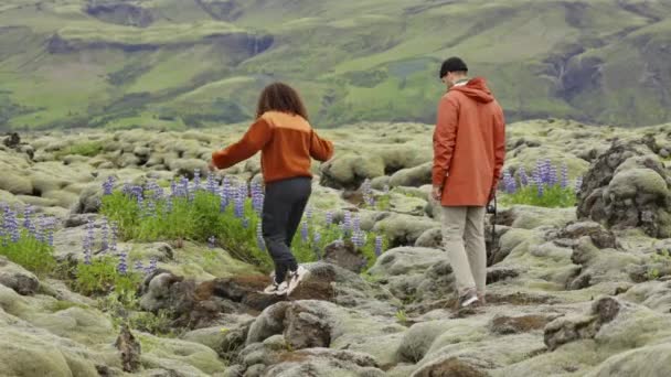 苔むした野生の花の風景の中で岩の上にカップルハイキング — ストック動画