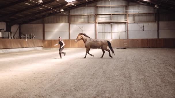 Молодая женщина бежит и играет с лошадью — стоковое видео