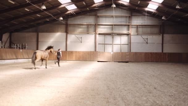 Young Woman Running And Playing With Horse — Stock Video