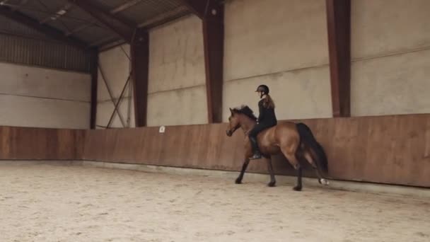 Frau reitet unbekleidet auf Pferd durch Paddock — Stockvideo