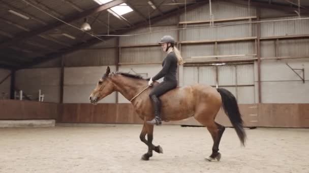 Χαμογελαστή γυναίκα ιππασία ξέφρενη στο άλογο γύρω από Paddock — Αρχείο Βίντεο