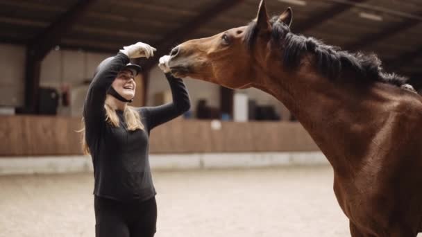 Mujer en sombrero de montar señalando hacia arriba a caballo en Paddock — Vídeo de stock
