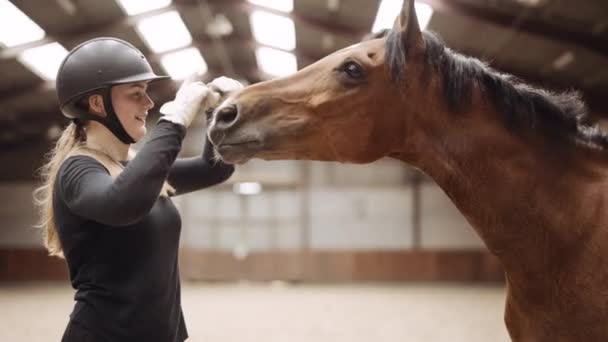 Woman In Riding Hat Gesturing With Hands To Horse In Paddock — Stock Video