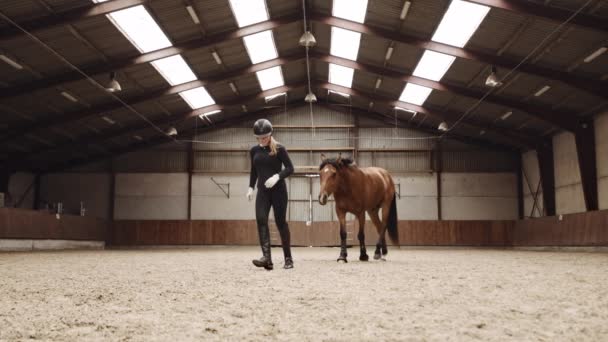 Femme courant à travers Paddock avec cheval suivant — Video